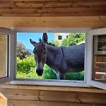 Casa Versini * Balogna