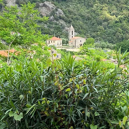 Casa Versini * Balogna