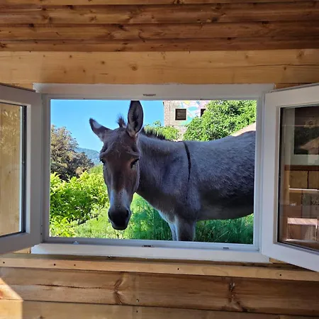 Casa Versini * Balogna