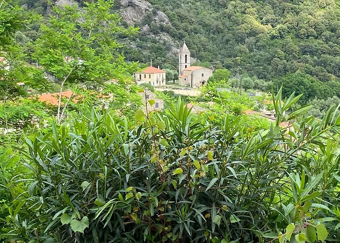 Casa Versini * Balogna