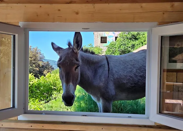 Casa Versini * Balogna