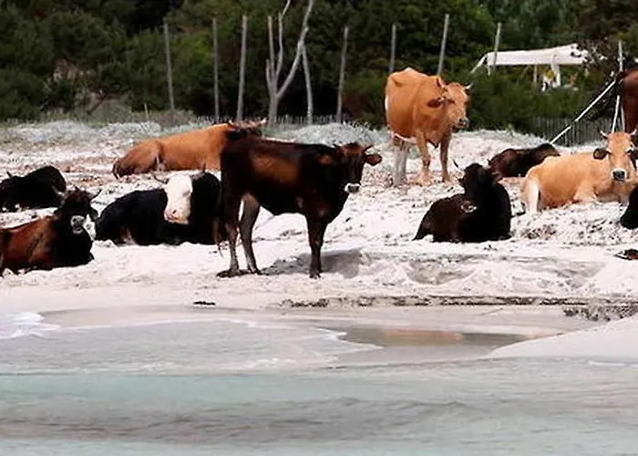 Casa Versini Balogna